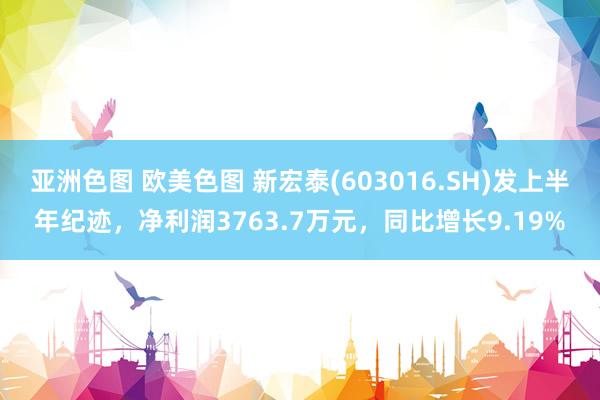 亚洲色图 欧美色图 新宏泰(603016.SH)发上半年纪迹，净利润3763.7万元，同比增长9.19%