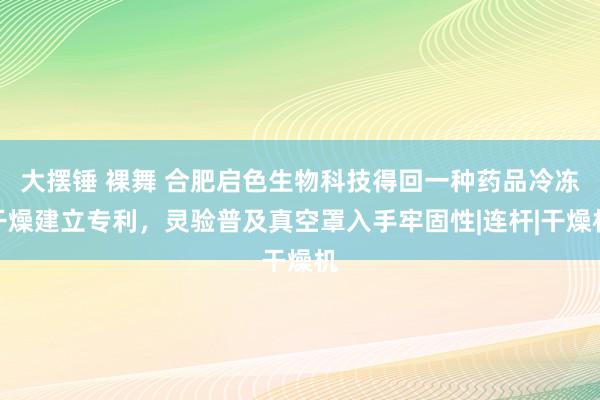 大摆锤 裸舞 合肥启色生物科技得回一种药品冷冻干燥建立专利，灵验普及真空罩入手牢固性|连杆|干燥机