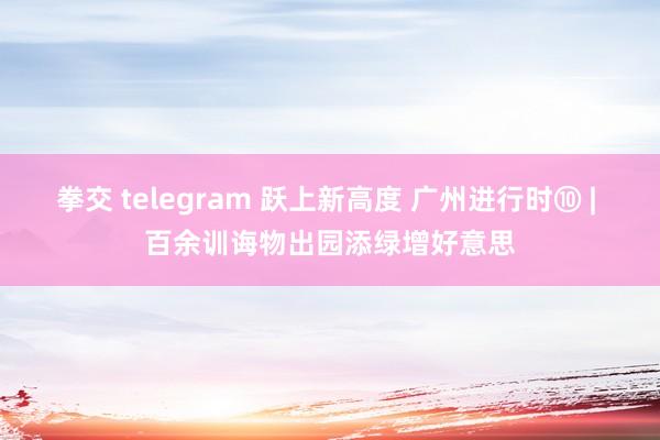 拳交 telegram 跃上新高度 广州进行时⑩ | 百余训诲物出园添绿增好意思