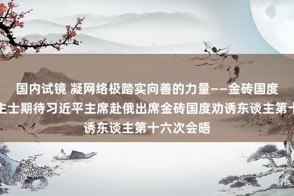 国内试镜 凝网络极踏实向善的力量——金砖国度各界东谈主士期待习近平主席赴俄出席金砖国度劝诱东谈主第十六次会晤