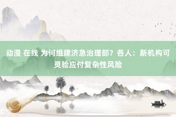 动漫 在线 为何组建济急治理部？各人：新机构可灵验应付复杂性风险