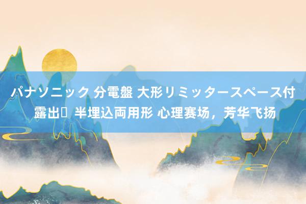 パナソニック 分電盤 大形リミッタースペース付 露出・半埋込両用形 心理赛场，芳华飞扬