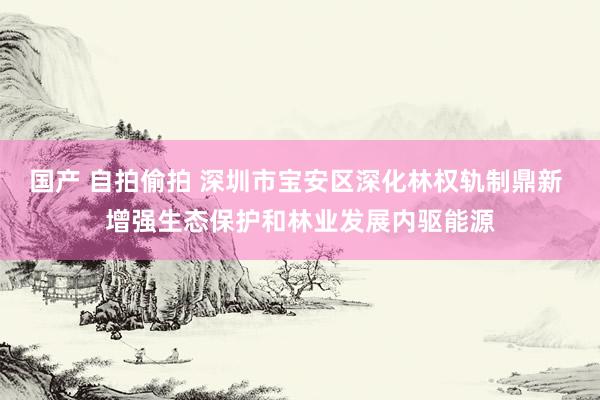 国产 自拍偷拍 深圳市宝安区深化林权轨制鼎新 增强生态保护和林业发展内驱能源