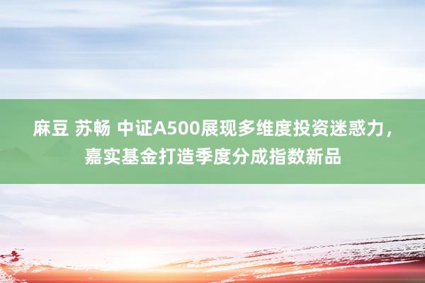 麻豆 苏畅 中证A500展现多维度投资迷惑力，嘉实基金打造季度分成指数新品