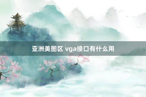 亚洲美图区 vga接口有什么用